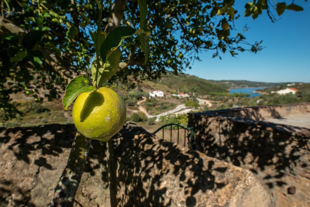 Quinta Da Eira Velha Guest House Aldeia do Mato  Екстериор снимка
